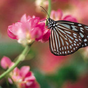 Lianne Britnell's photo