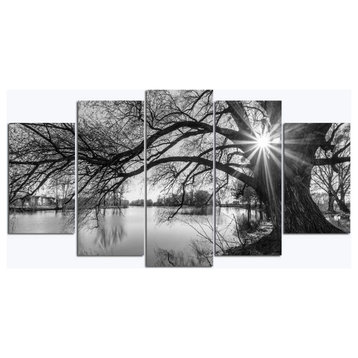 5-Pieces Wall Art Old Tree by Lake Picture Canvas Prints Sunrise Painting Black