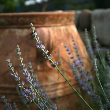 European Garden Design