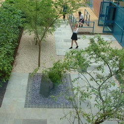 Local School - Garden Products