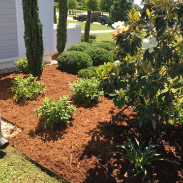 Landscape Projects