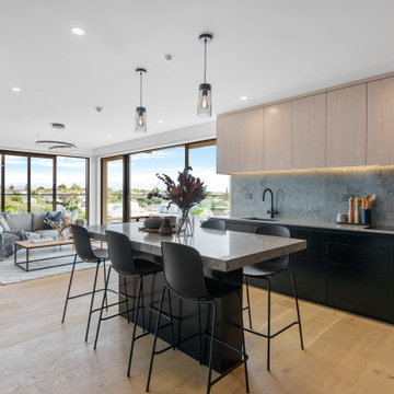Pt Chevalier Apartment Kitchen
