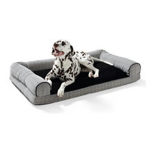 Doggie