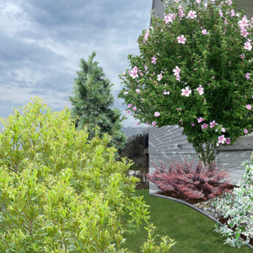 Foundation Plantings