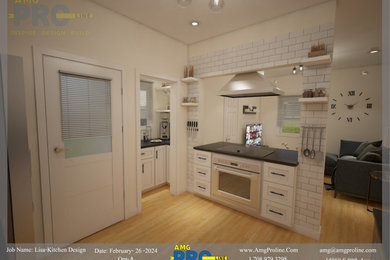 3D Design for a Kitchen & Living In Oak Park