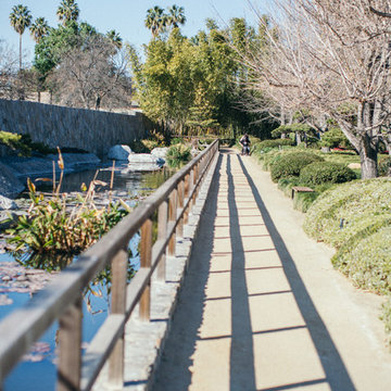 Landscape >> Japanese Garden