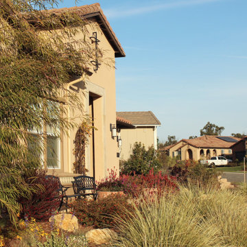 Arresting Dunes - Coastal Gem Garden