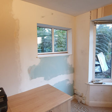 Damp issues in the office room, Bromley BR2