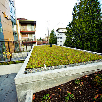 Muriel's Landing / UDistrict Student Housing