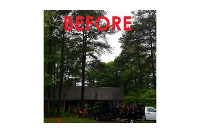 Tree Services