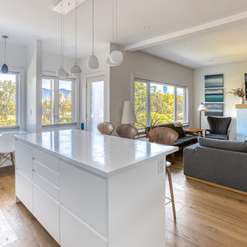 Kitsilano House Renovation