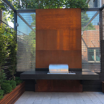 Modern Kitchen Extention Garden