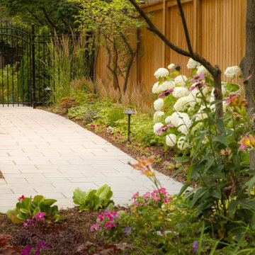 Tsang Back Yard