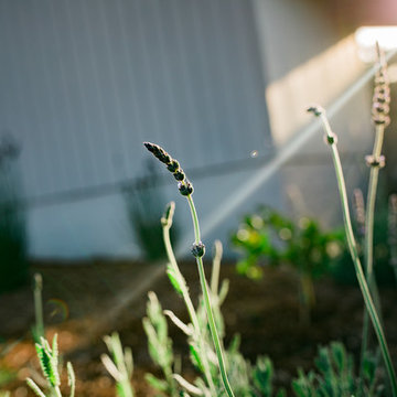 Los Osos Backyard Retreat