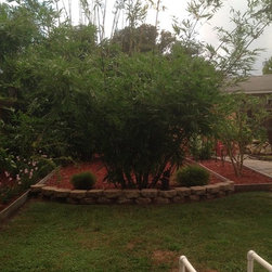 Bamboo installations - Products