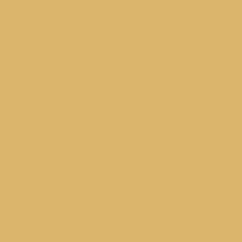 Main living color palette