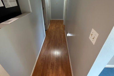 Medium tone wood floor hallway photo in Tampa