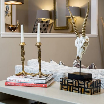 Luxe Living Space Remodel