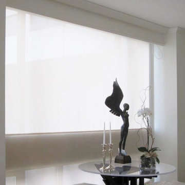 Interior Shades