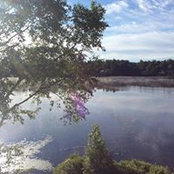 Jocelyne Millette's photo