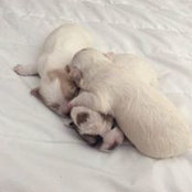 Douglas Vaughan's photo