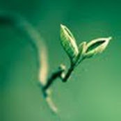 Pamela Miller's photo
