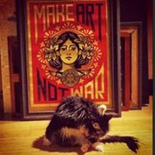 Photo de Princess Sharktopuss Thomas-Fullwood