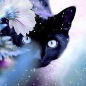 Katherine Fiorentino's photo