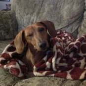 Glenda Cardwell's photo