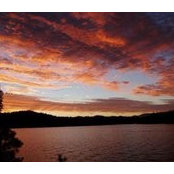 Kim Martin's photo