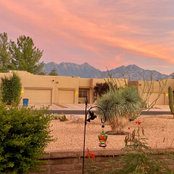 Melissa Pineault's photo