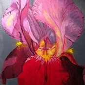 Susan Comparts foto