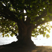 kerelife .s foto