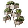 Flowers and Plants Foldable Wooden Plant Stand, 6 Seed Boxes