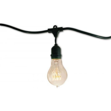 Vintage Edison Bulbs, 15 Lights, 48'