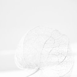 Milkywhite - Prints And Posters