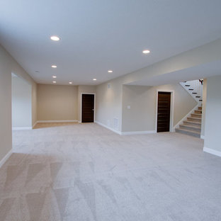 Design ideas for a basement in Indianapolis.
