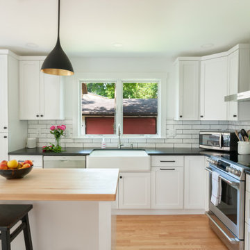 Ann Arbor Kitchen Addition: Park Place