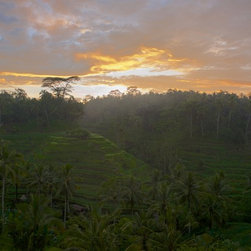Sunrises - Photographs