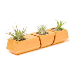 Boxcar Planter - Douglas Fir - Products