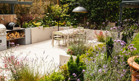 Garden Tour: A Spacious City Plot With a Secret Garden Feel