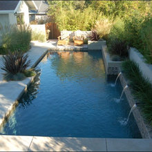 Backyard ideas