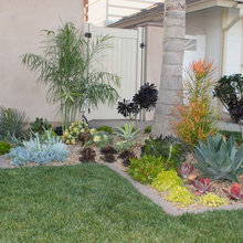 front yard