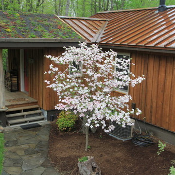Green Plant Roofing