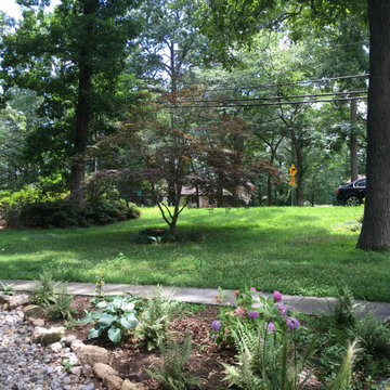 Wild At Heart - Accotink Creek Watershed7/5/2018 BEFORE: huge amount of stormwat