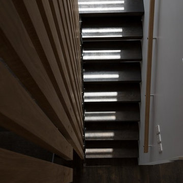 Grey Lynn Modern Addition to a Traditional Villa