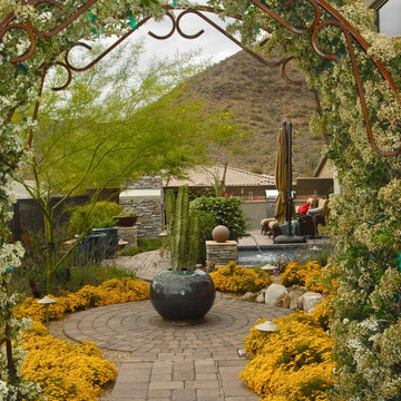 pathway through the garden of grown out shrubs, plants & vines