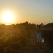 Sarah Jafari's photo