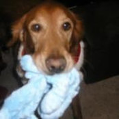 Sonya Holtzclaw's photo