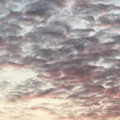 Catherine Dodd's photo
